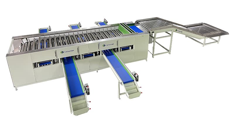 images/1696925048547carrot sorting grading machinery.jpg